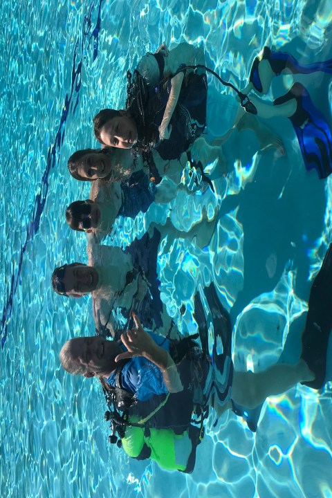 a group of people swimming in a body of water