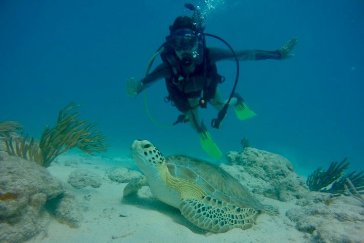 underwater view of the ocean