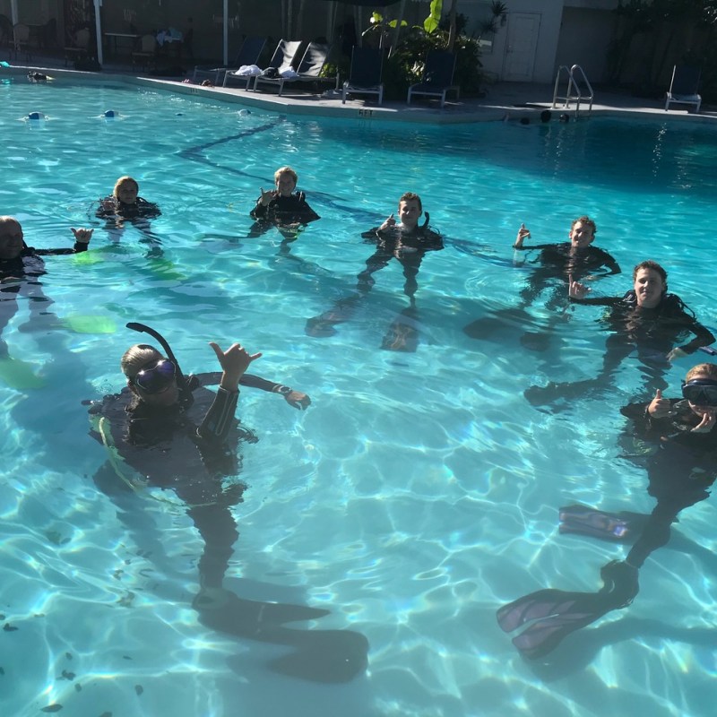 a group of people swimming in a pool of water